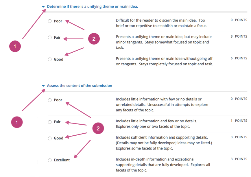 An example rubric showing criteria and options.